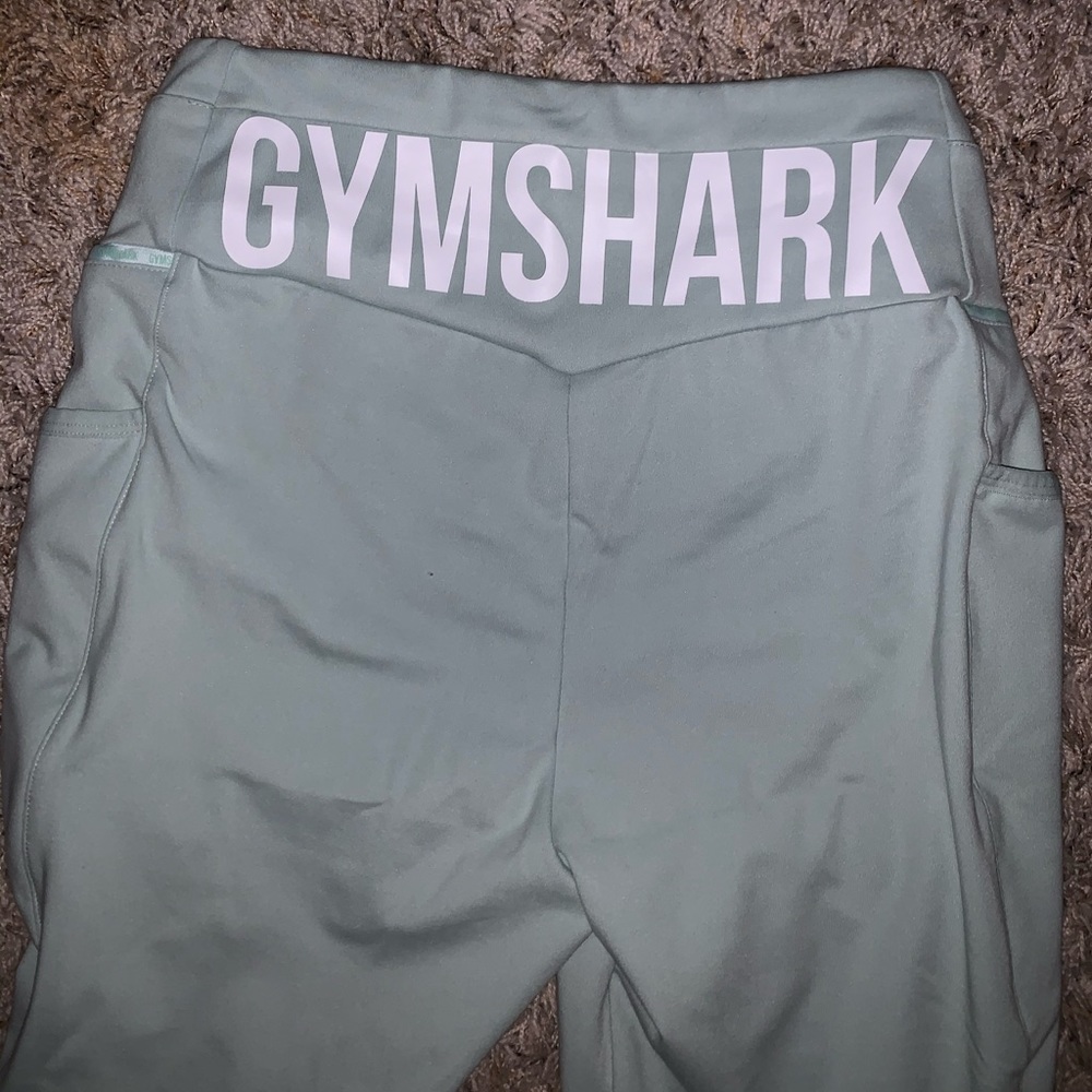 Mint Gymshark Leggings